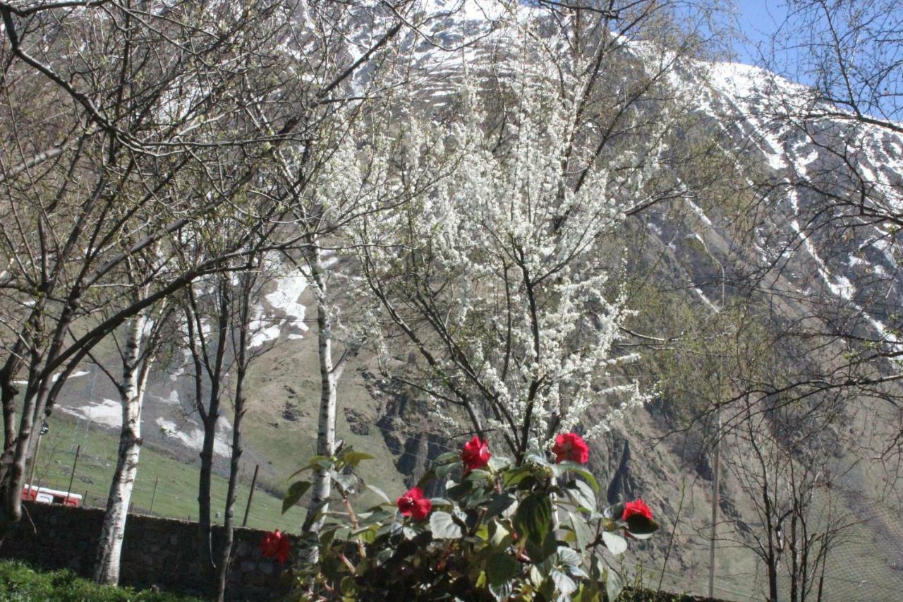 Gio-Nika Hotel Kazbegi Exterior photo